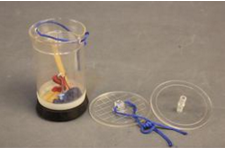 大氣壓系列實驗器